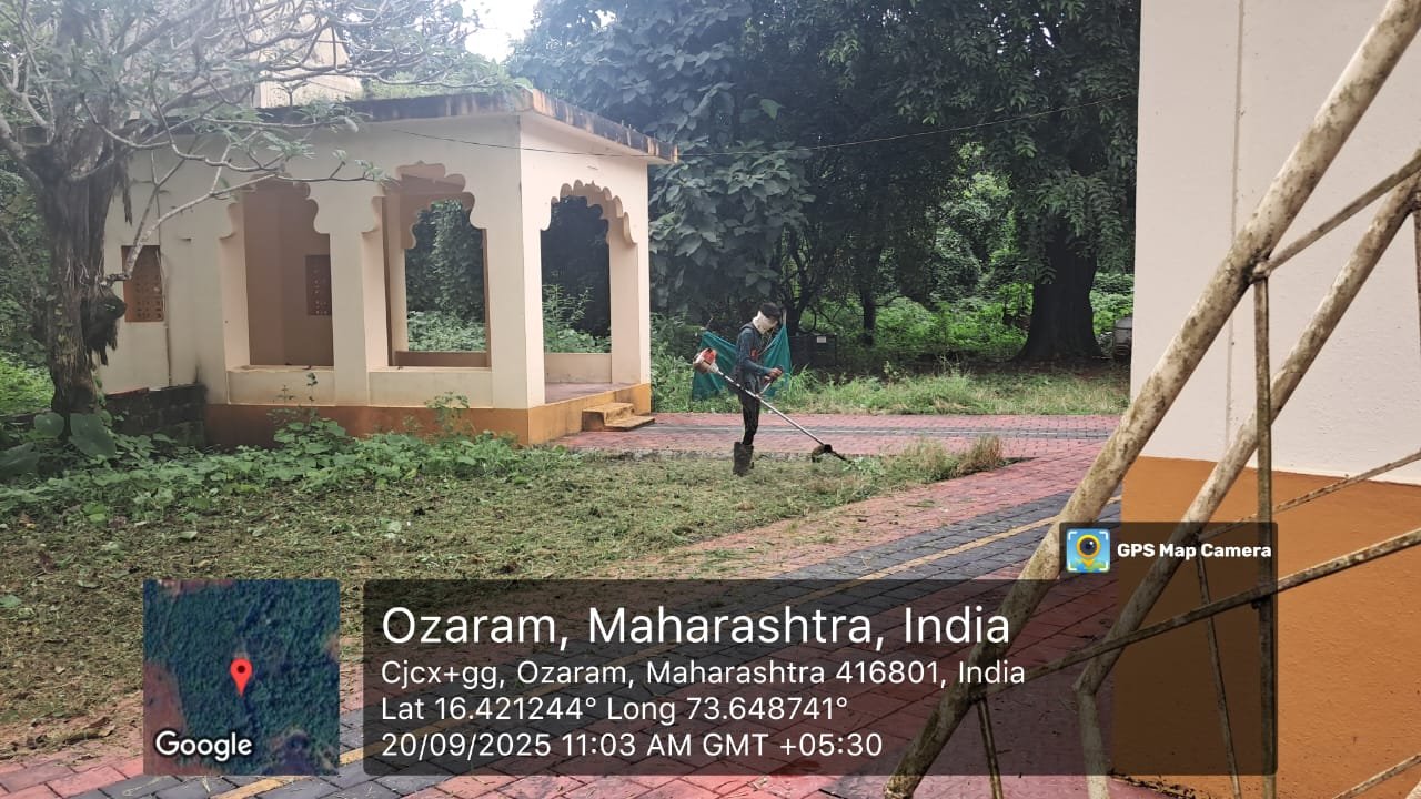 साफसफाई २