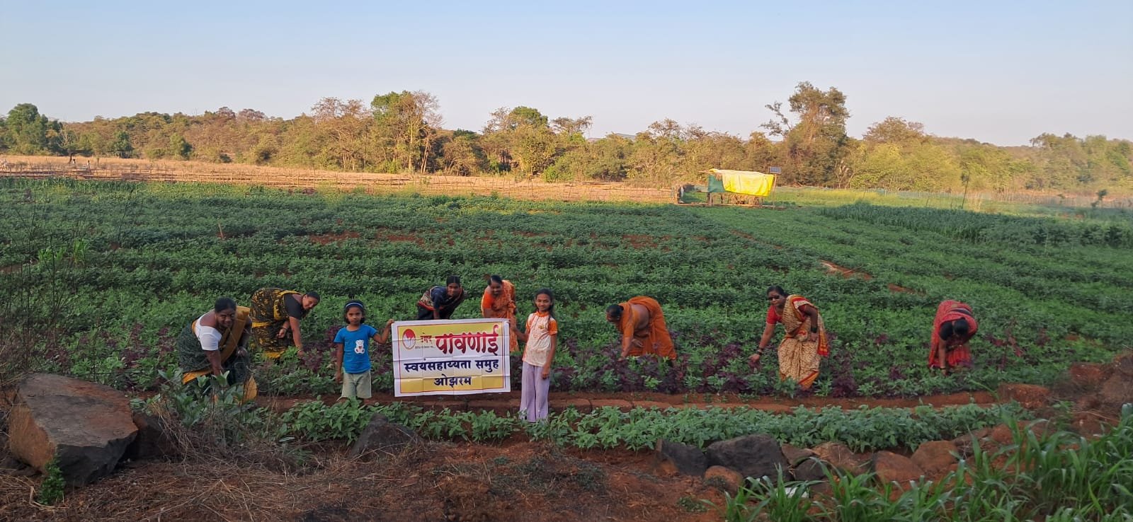 पावणाई स्वयंसहाय्यता समूह ओझरम तर्फे भाजीपाला लागवड (2)