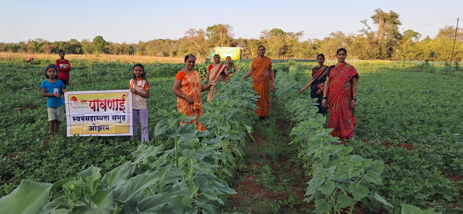 पावणाई स्वयंसहाय्यता समूह ओझरम तर्फे भाजीपाला लागवड