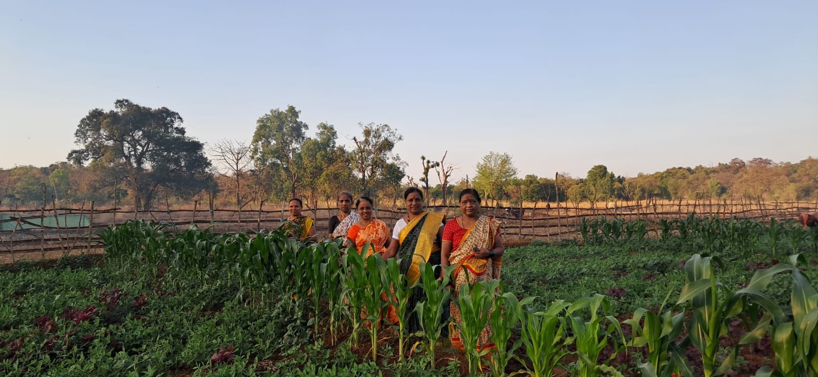 भाजीपाला लागवड (2)